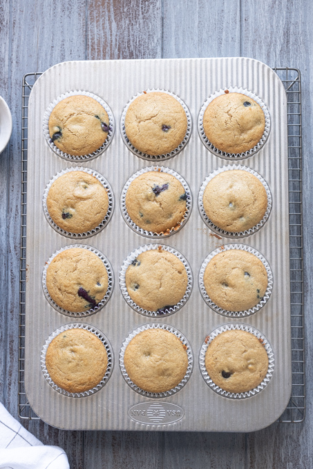 Blueberry muffins with oat flour baked in muffin pan.
