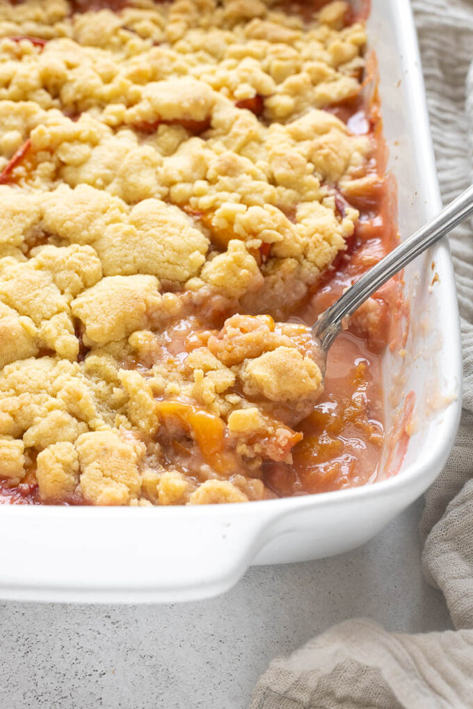 Peach cobbler in baking dish with serving spoon digging in.