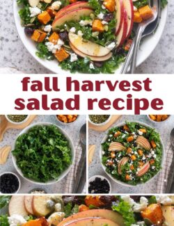 Fall harvest salad recipe collage pin.