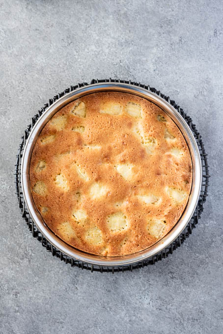 French apple cake in springform pan after baking.